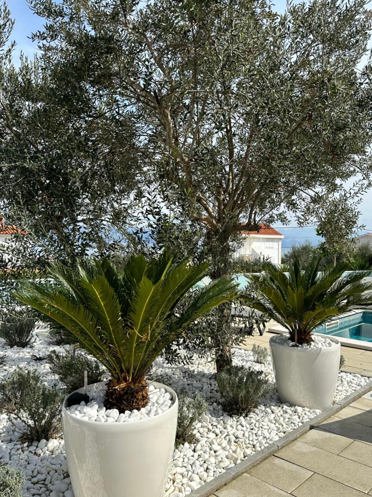 Apartments Marina Trogir Kültér fotó
